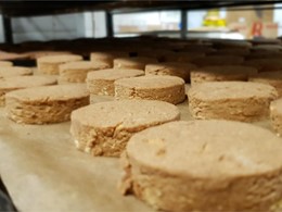 Polvorones
